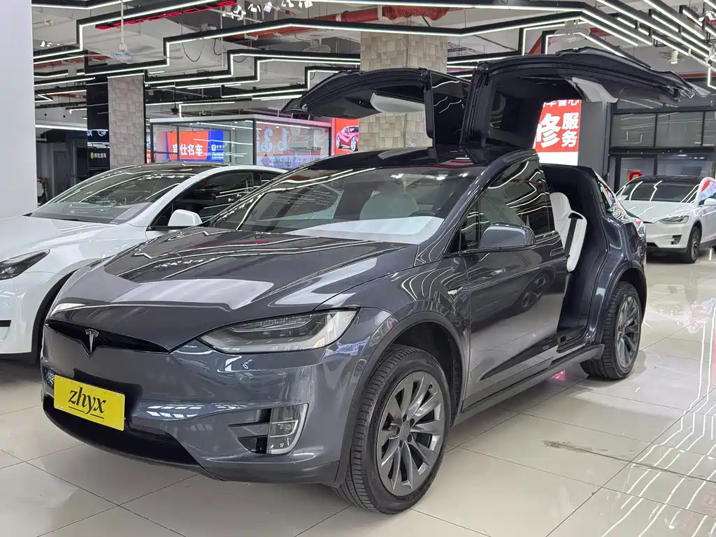 Model X 2019 Long Range Edition купить на сайте DeffCars