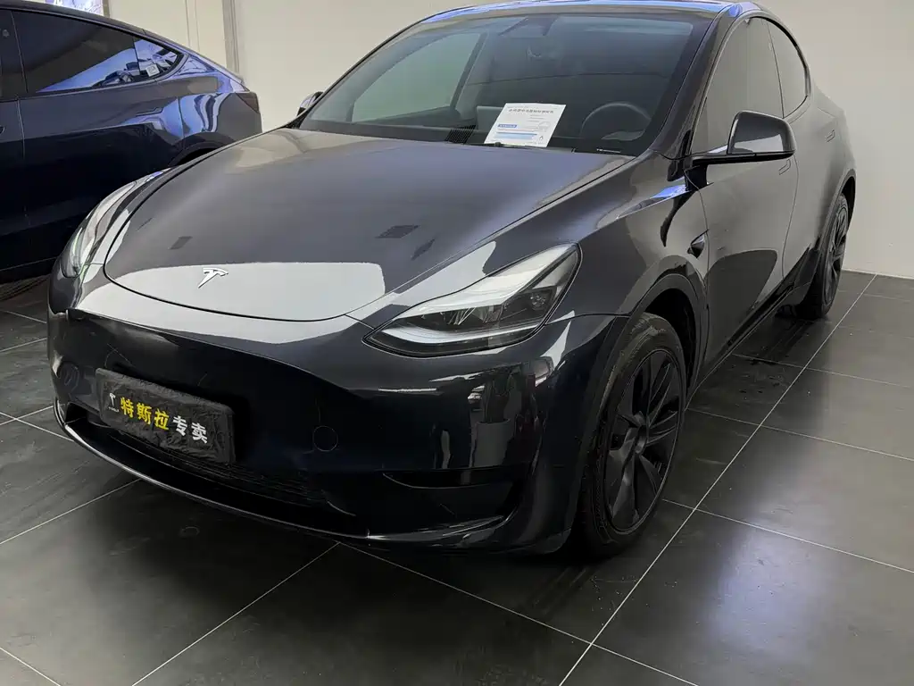 Model Y 2024 rear-wheel drive version купить на сайте DeffCars