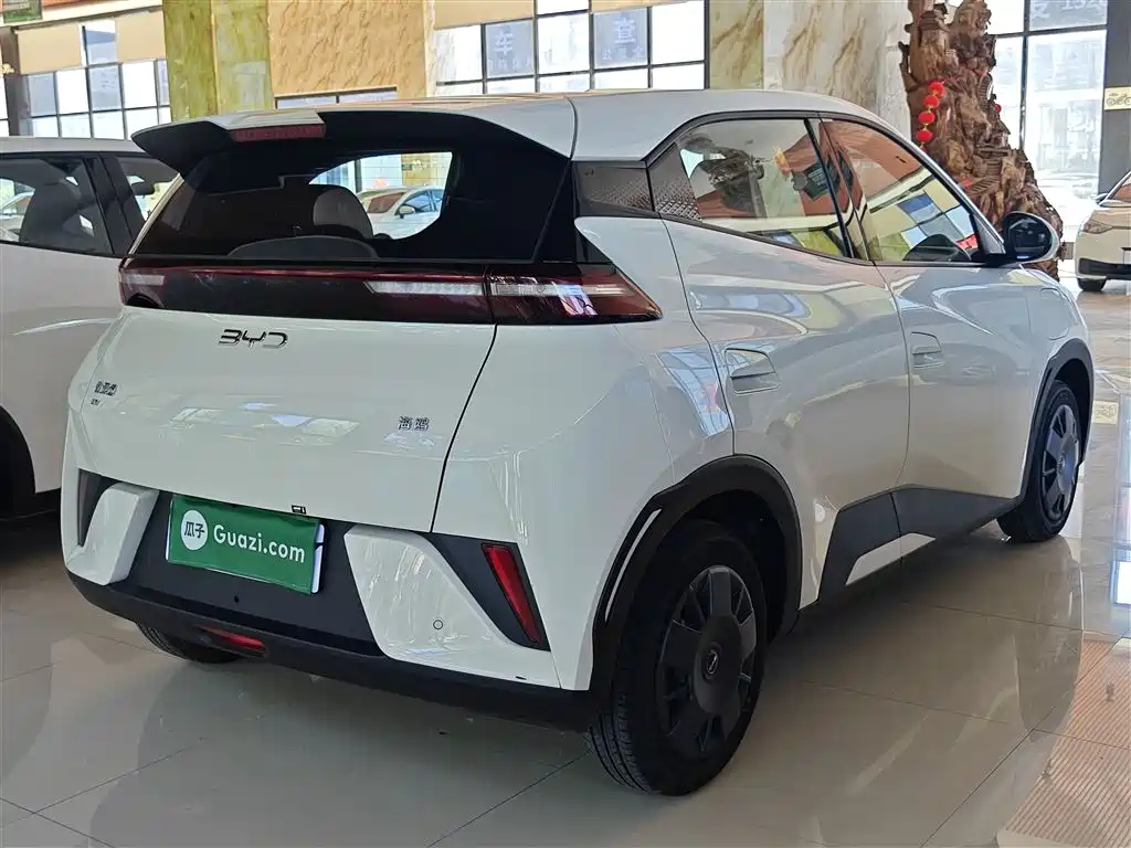 Seagull 2025 305km active version купить на сайте DeffCars