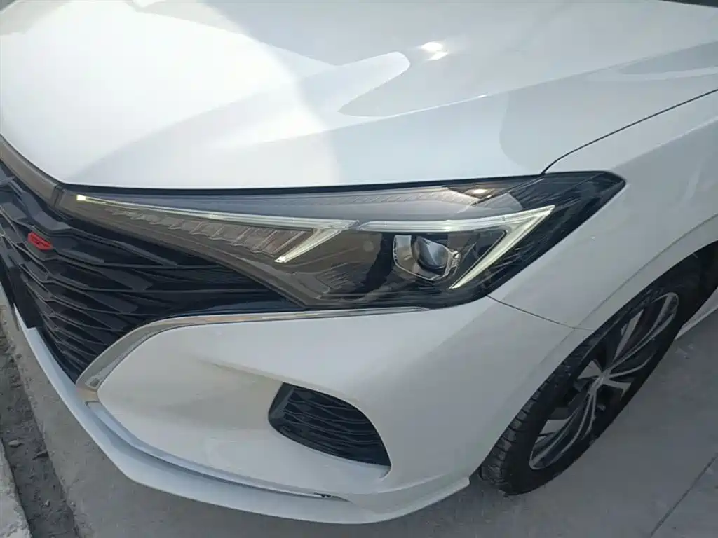EADO 2021 PLUS Blue Whale NE 1.4T GDI DCT flagship model купить на сайте DeffCars