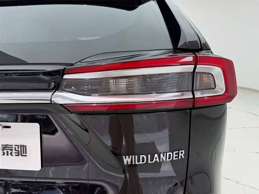Wilanda 2020 2.0L CVT two-wheel drive luxury version купить на сайте DeffCars