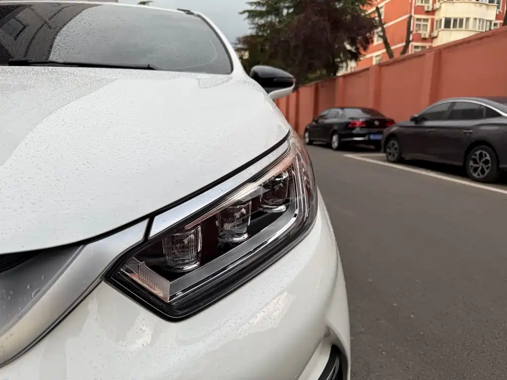 Yuan Pro 2021 must love the Lifetime Edition купить на сайте DeffCars