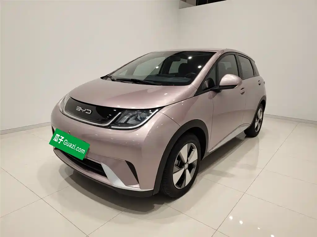 Dolphin 2023 420km Free Edition купить на сайте DeffCars