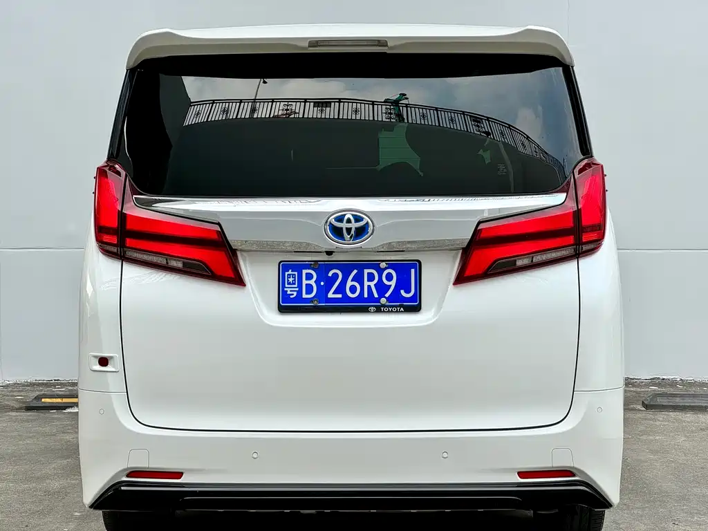 Alfa 2019 Shuangqing 2.5L Premium Edition купить на сайте DeffCars