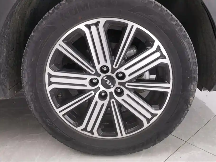 Zhipao 2021 Ace 2.0L Wonderful Edition купить на сайте DeffCars