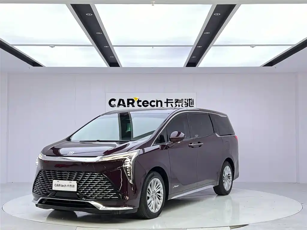 Century 2023 2.0T Six-seater Yuanshi Edition купить на сайте DeffCars