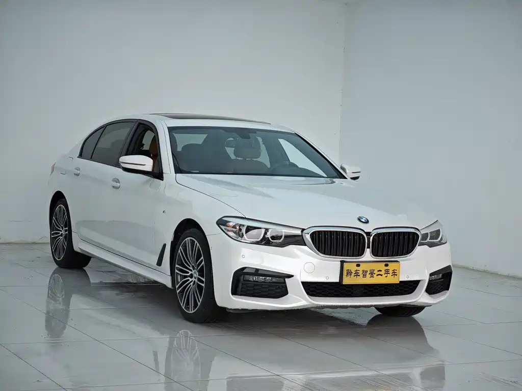 BMW 5 Series 2019 530Li Leading M Sports Package купить на сайте DeffCars
