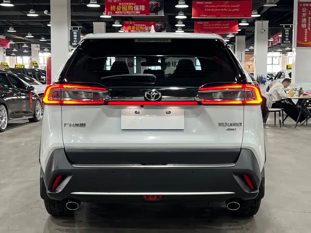 Wilanda 2020 2.0L CVT four-wheel drive luxury version купить на сайте DeffCars