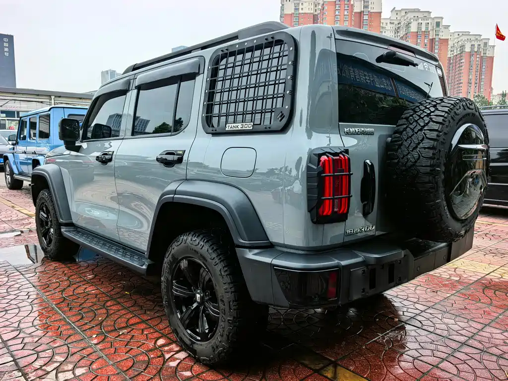 Tank 300 2024 2.0T Conqueror купить на сайте DeffCars