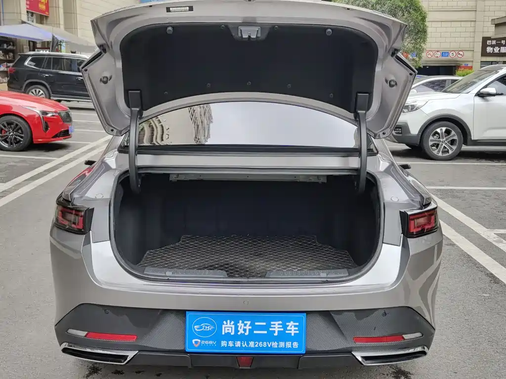 Yida 2023 Blue Whale NE 1.5T GDI DCT pilot model купить на сайте DeffCars