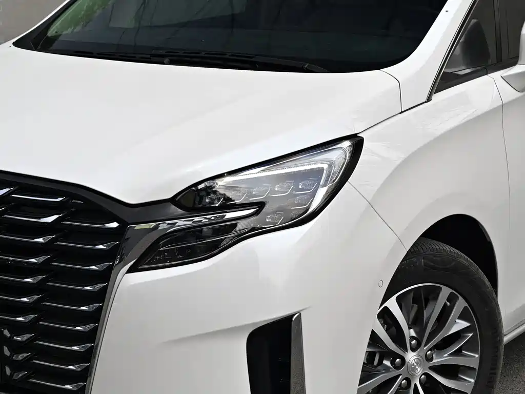 Buick GL8 2023 ES Lu Zun Exclusive Model купить на сайте DeffCars