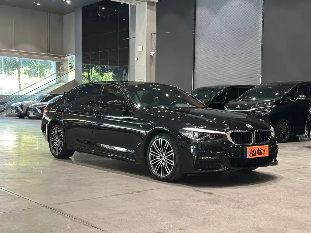 BMW 5 Series 2019 530Li Leading M Sports Package купить на сайте DeffCars