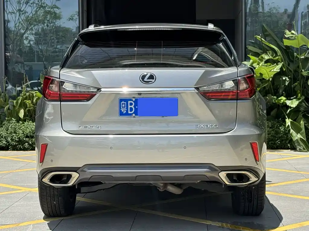 Lexus RX 2020 300 2WD Elite Edition National VI купить на сайте DeffCars