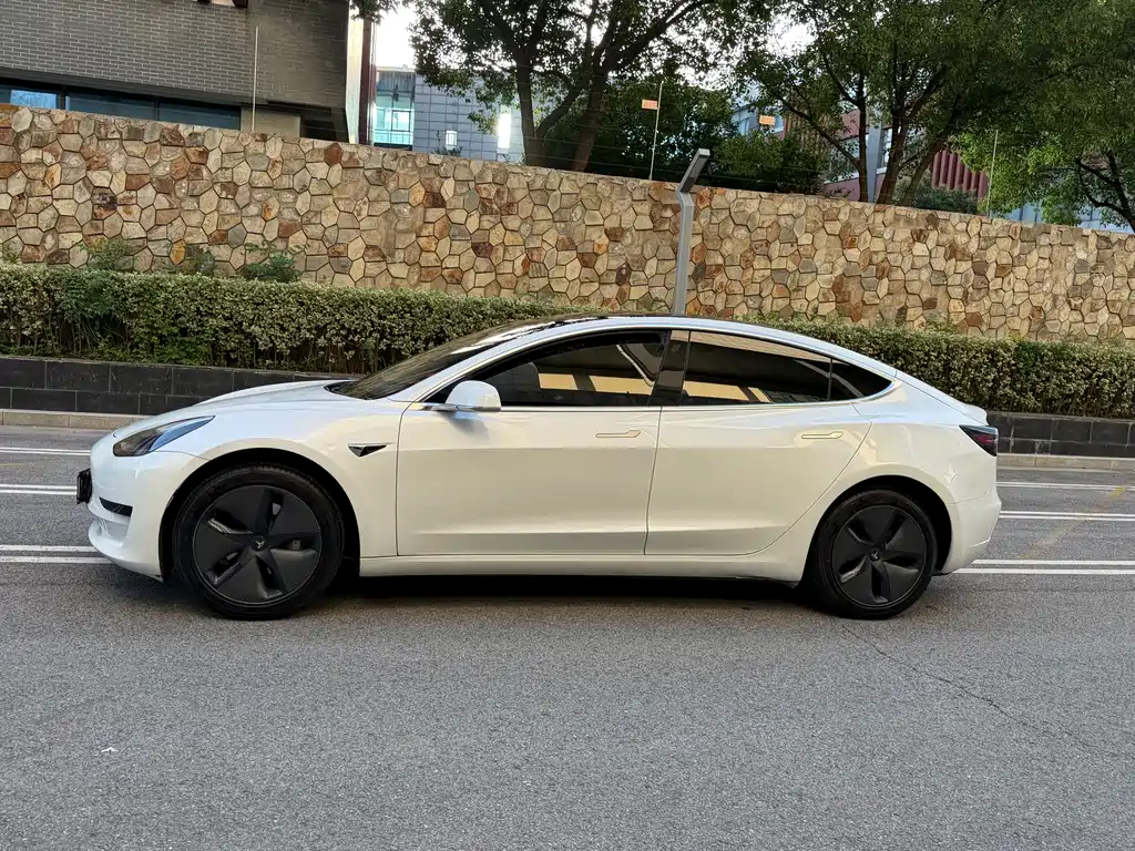 Model 3 2019 standard range rear drive upgraded version купить на сайте DeffCars