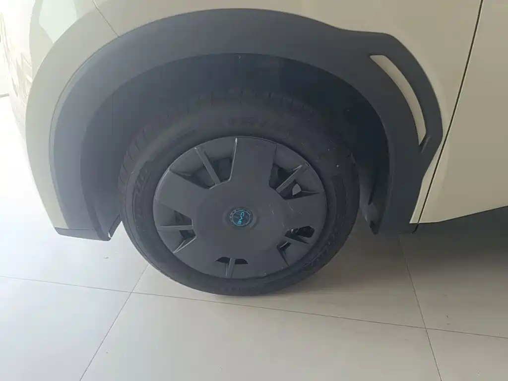 Seagull 2025 305km active version купить на сайте DeffCars