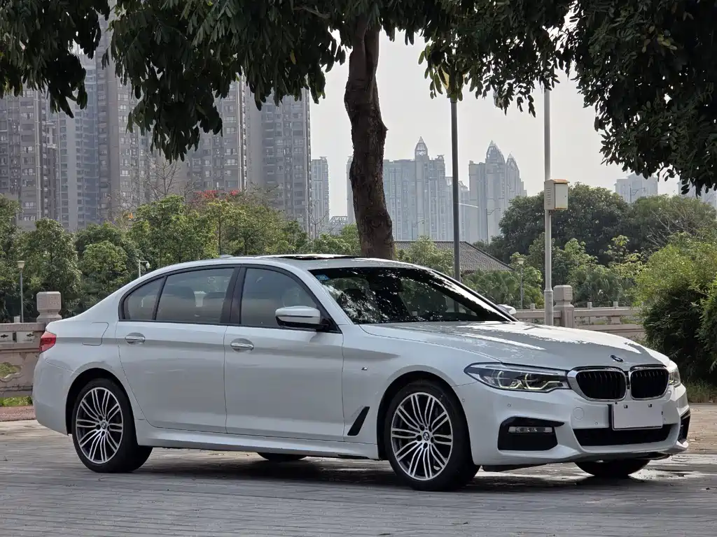 BMW 5 Series 2018 530Li Exclusive M Sports Package купить на сайте DeffCars