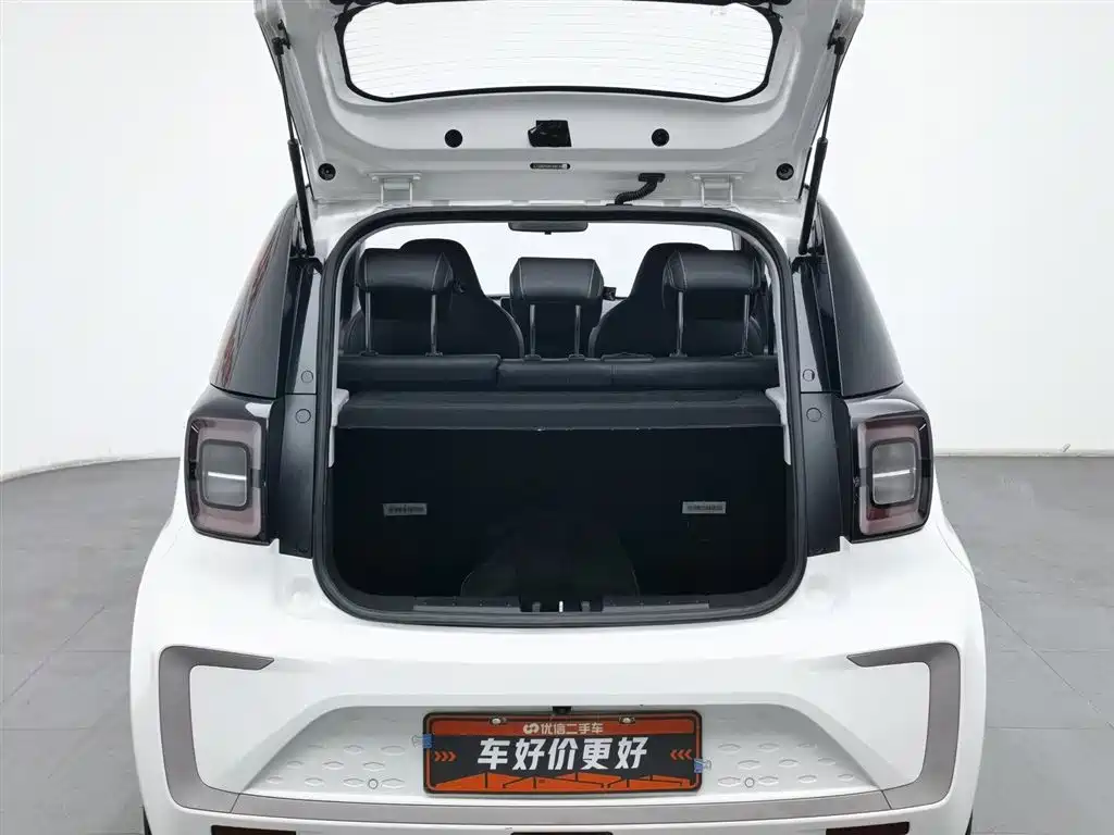 Flower Fairy 2022 Flower Fairy Style Gypsophila купить на сайте DeffCars