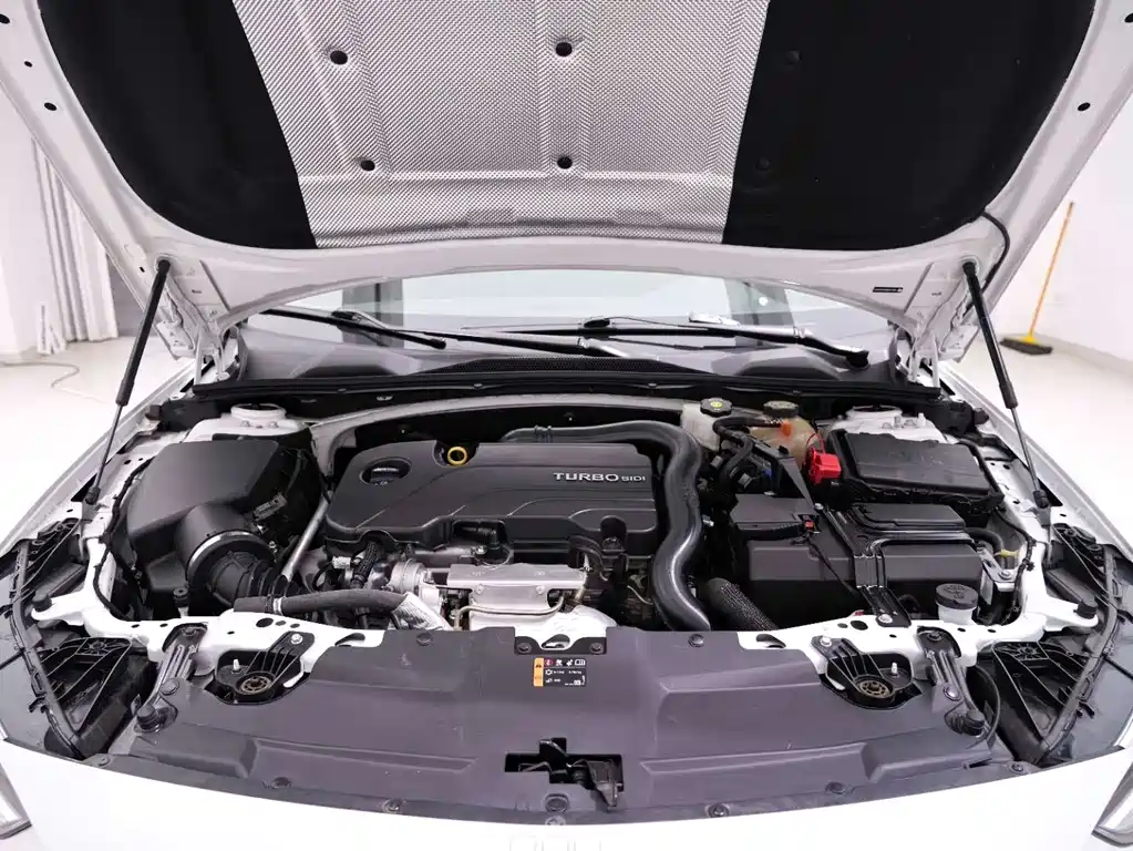 Regal 2024 25T Super Edition купить на сайте DeffCars