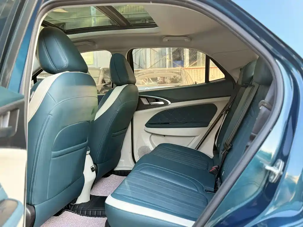 Euler Good Cat 2021 model 400km standard battery life Athena version ternary lithium купить на сайте DeffCars