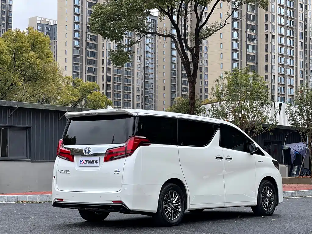 Alfa 2020 Shuangqing 2.5L Premium Edition купить на сайте DeffCars