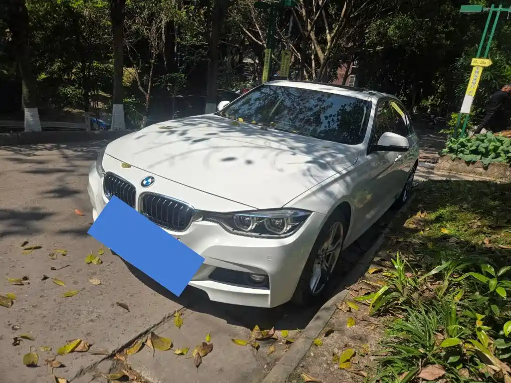 BMW 3 Series 2018 320Li Leading M Sports Package купить на сайте DeffCars