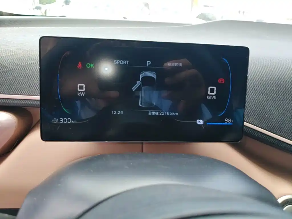 Seagull 2025 305km Free Edition купить на сайте DeffCars