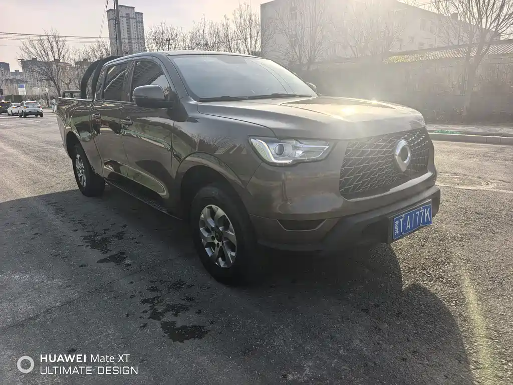 Cannon 2021 2.0T commercial version automatic diesel two-wheel drive elite long box GW4D20M купить на сайте DeffCars