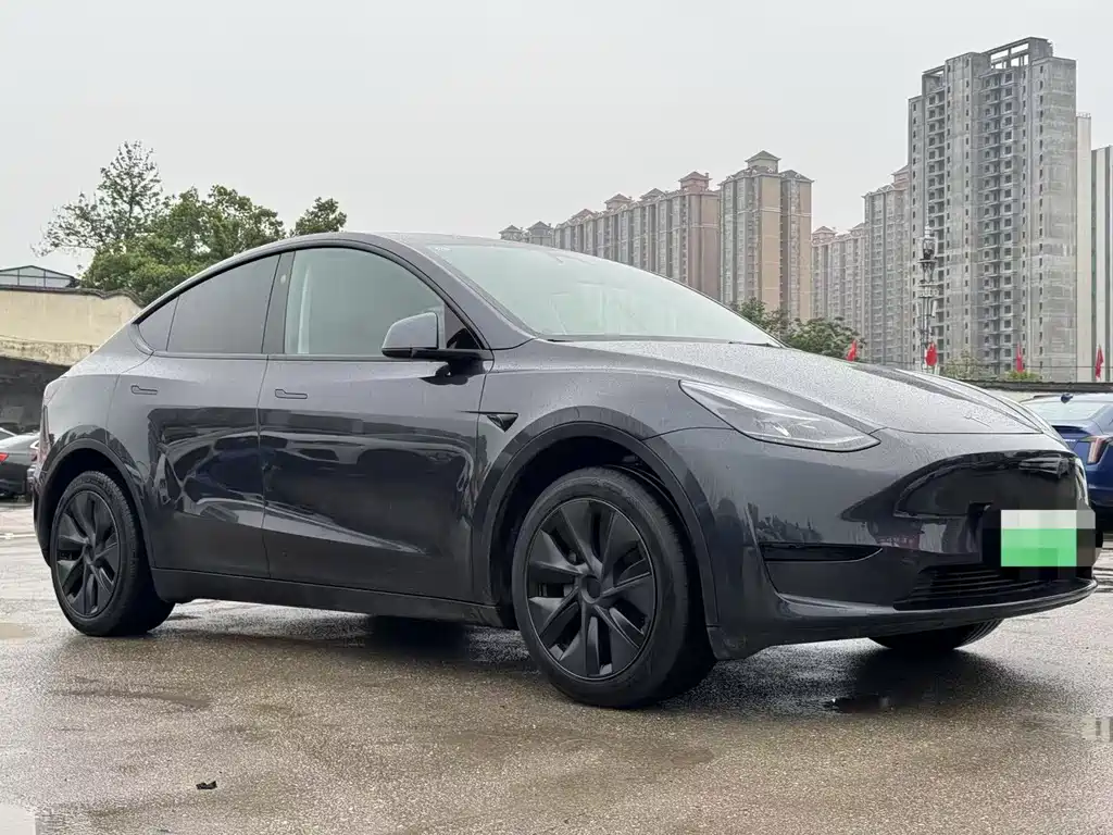 Model Y 2024 rear-wheel drive version купить на сайте DeffCars