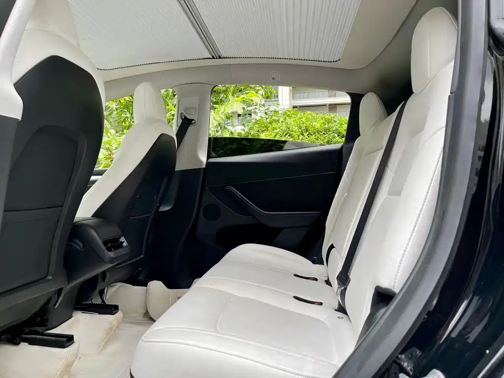 Model Y 2021 standard range rear-wheel drive version купить на сайте DeffCars