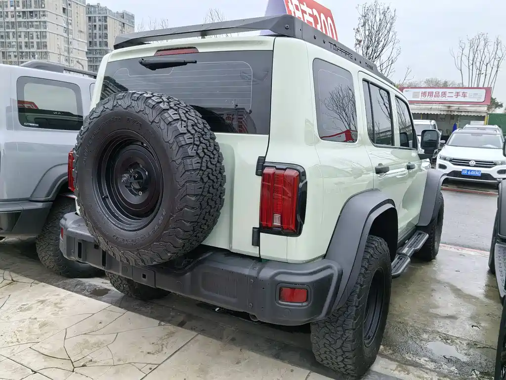 Tank 300 2021 2.0T Fenglin Iron Cavalry купить на сайте DeffCars