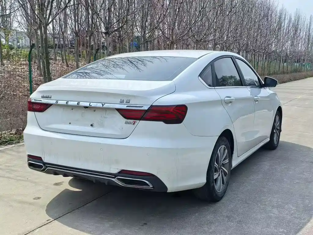 Binrui 2019 200T DCT Binchi Edition купить на сайте DeffCars