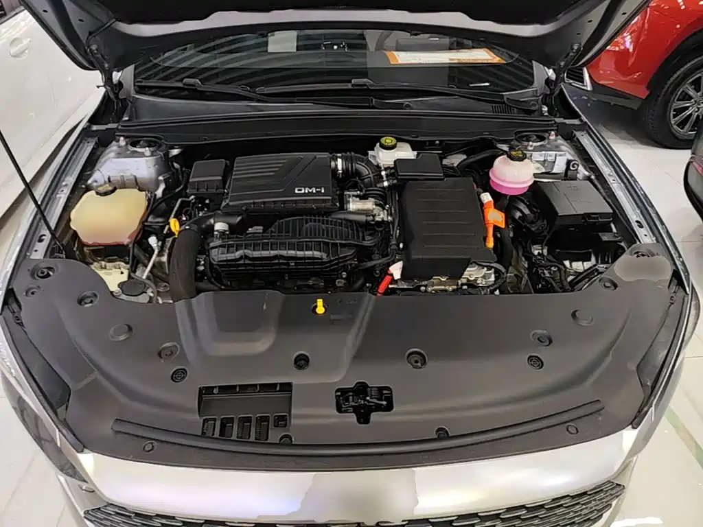 Qin Plus 2023 Champion Edition DM-i 55KM Leading Type купить на сайте DeffCars