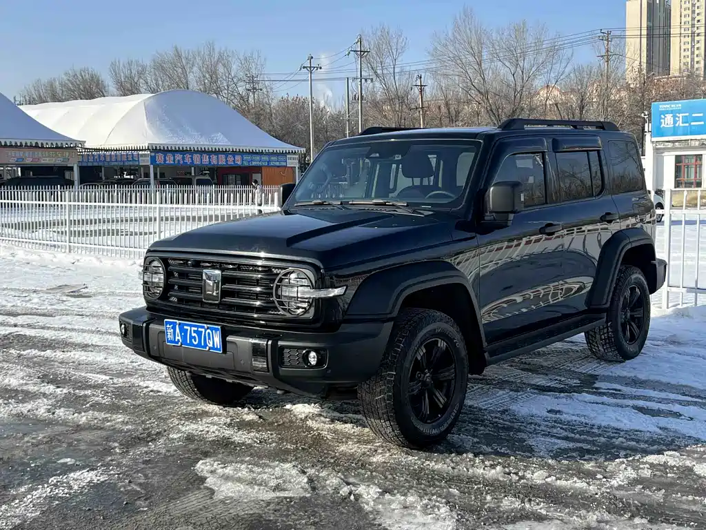 Tank 300 2023 Off-Road Version 2.0T Conqueror купить на сайте DeffCars
