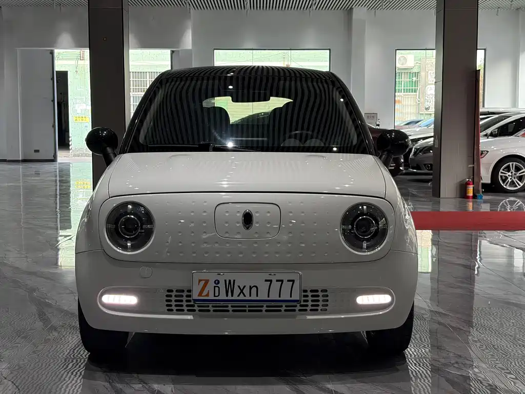 Euler Black Cat 2021 351km standard model купить на сайте DeffCars