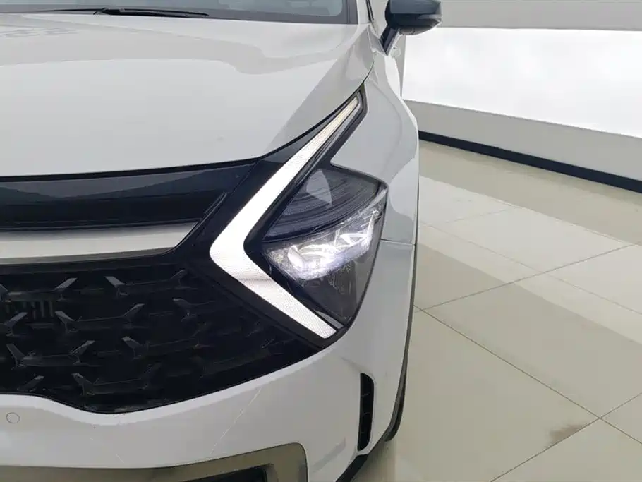 Lion Platinum Extension 2023 1.5T two-wheel drive premium version купить на сайте DeffCars