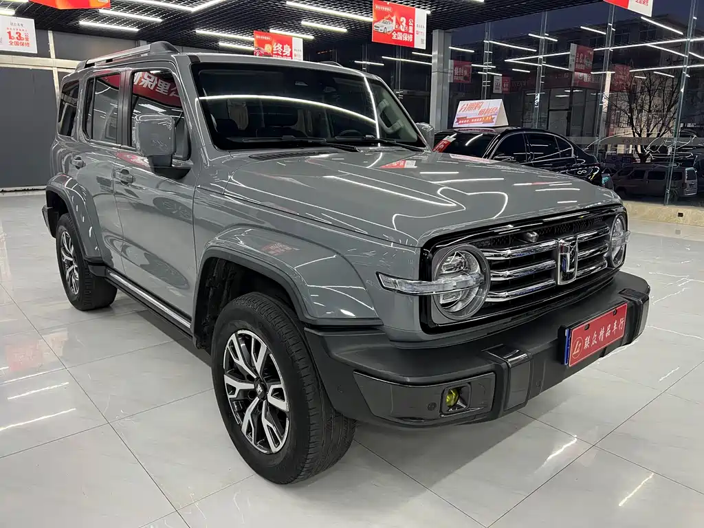 Tank 300 2021 City Edition 2.0T Very Stylish купить на сайте DeffCars