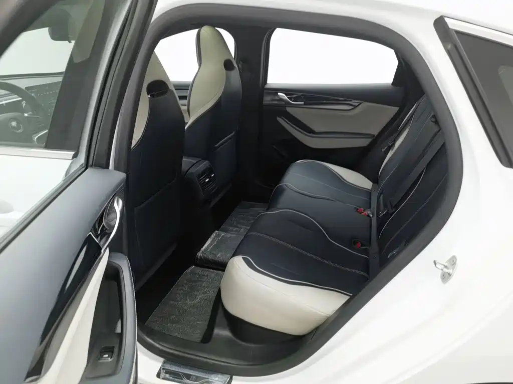 Qin PLUS 2021 EV 500KM luxury model купить на сайте DeffCars
