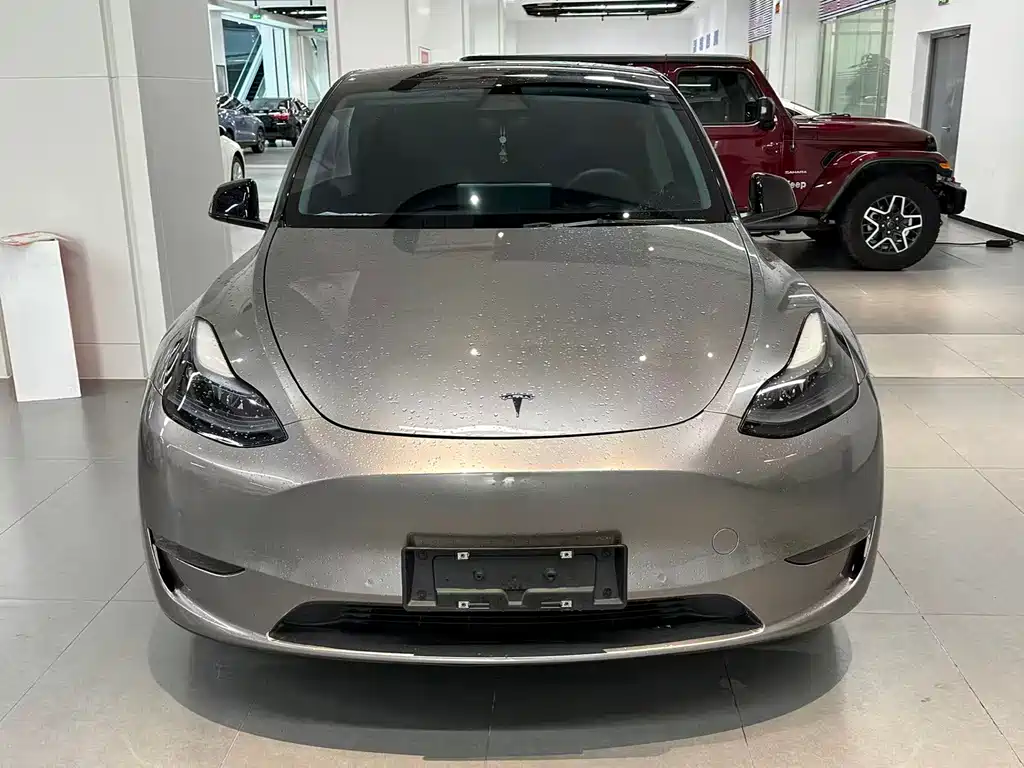 Model Y 2021 Standard Range Rear Drive Edition купить на сайте DeffCars