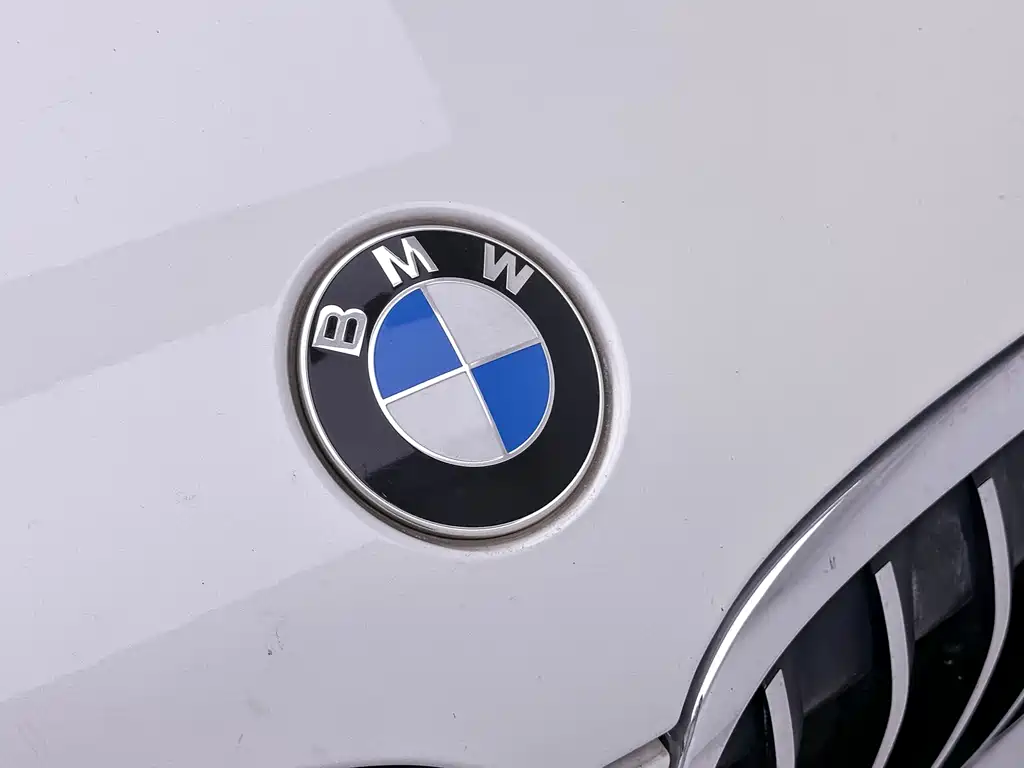 BMW X1 2019 sDrive20Li leading model купить на сайте DeffCars