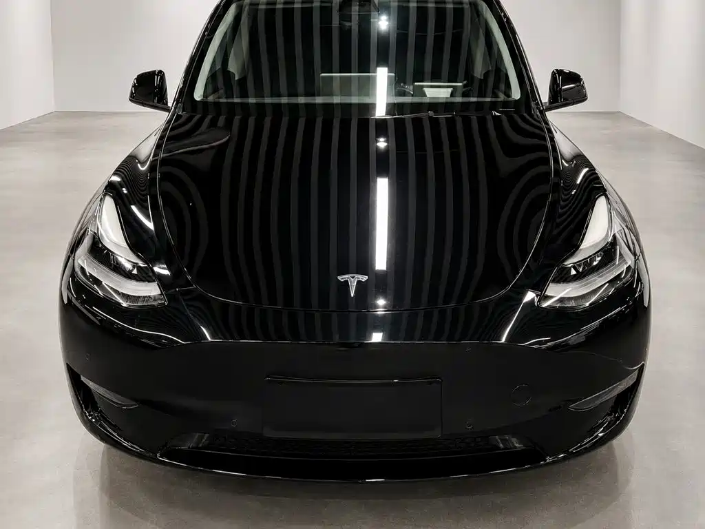 Model Y 2021 standard range rear-wheel drive version купить на сайте DeffCars