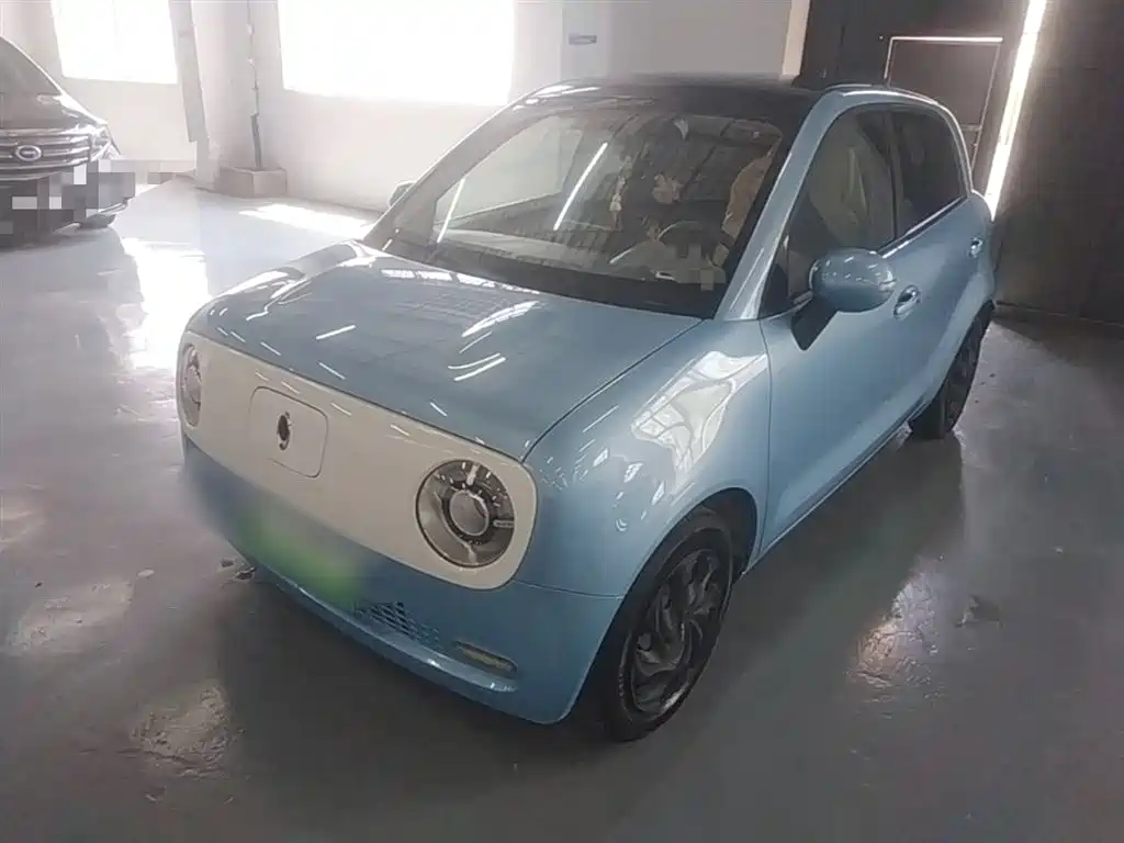 Euler Black Cat 2021 301km basic model купить на сайте DeffCars