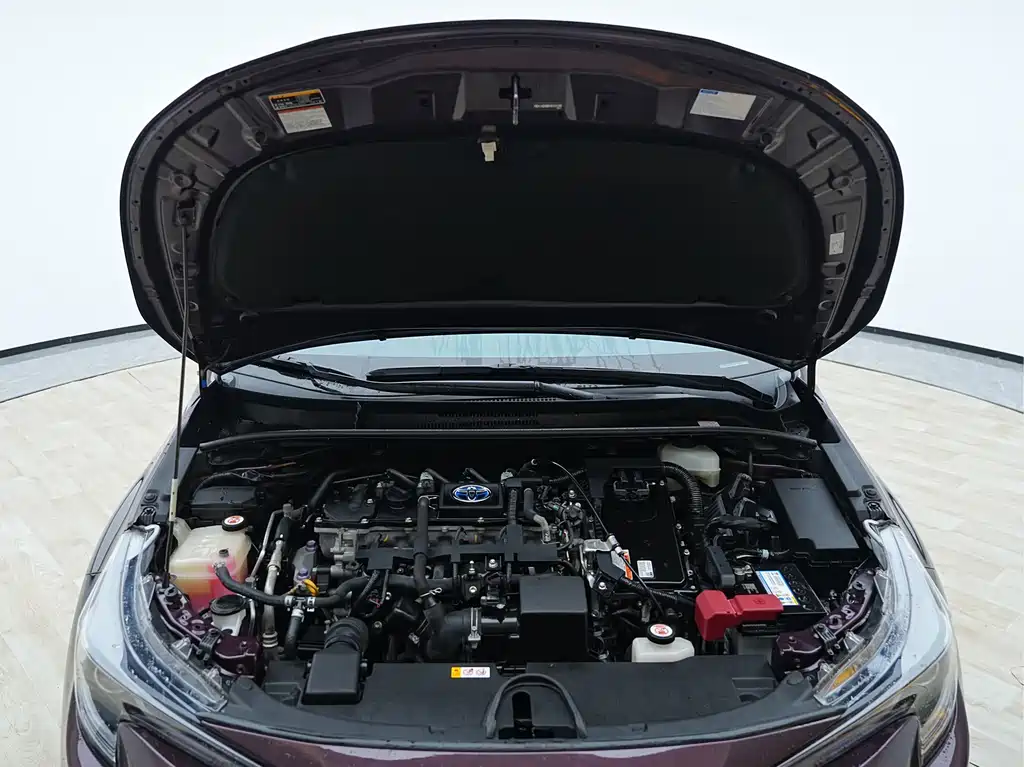 Ralink 2019 Dual Engine 1.8H E-CVT Sports Edition National V купить на сайте DeffCars