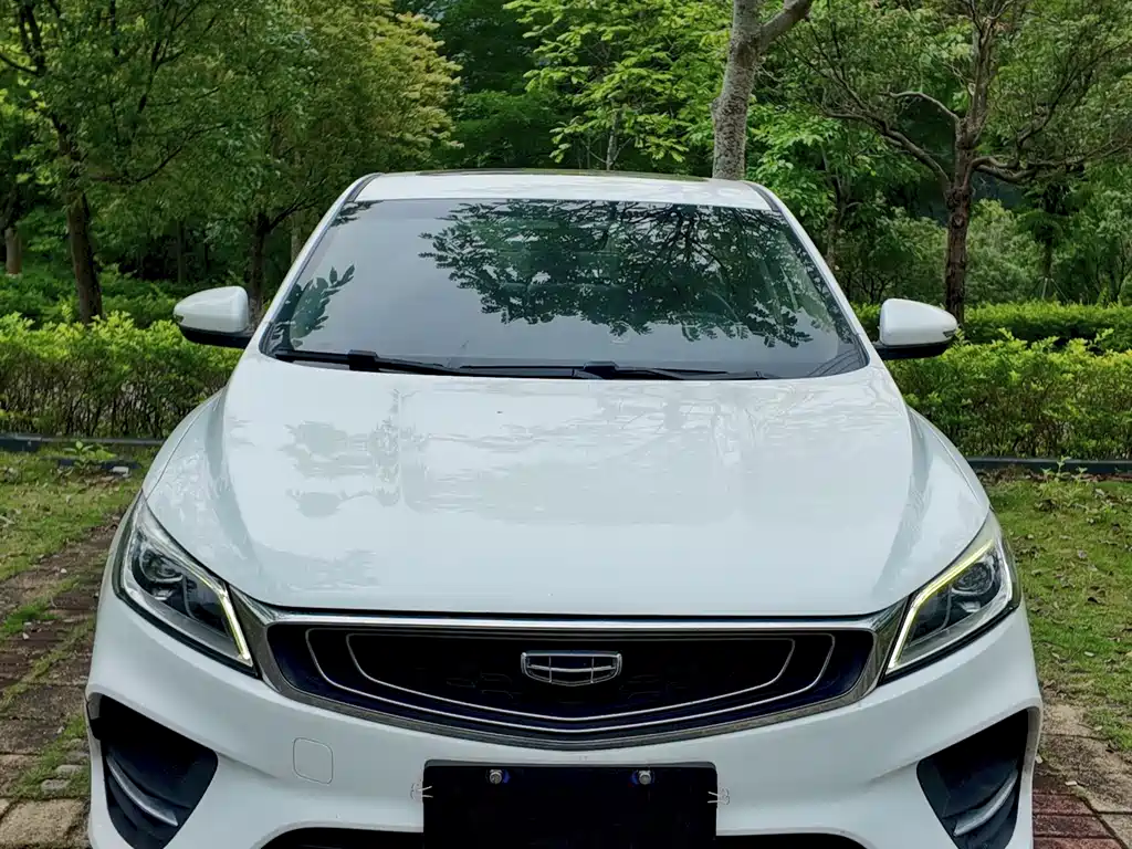 Binrui 2019 200T DCT Binchi Edition купить на сайте DeffCars