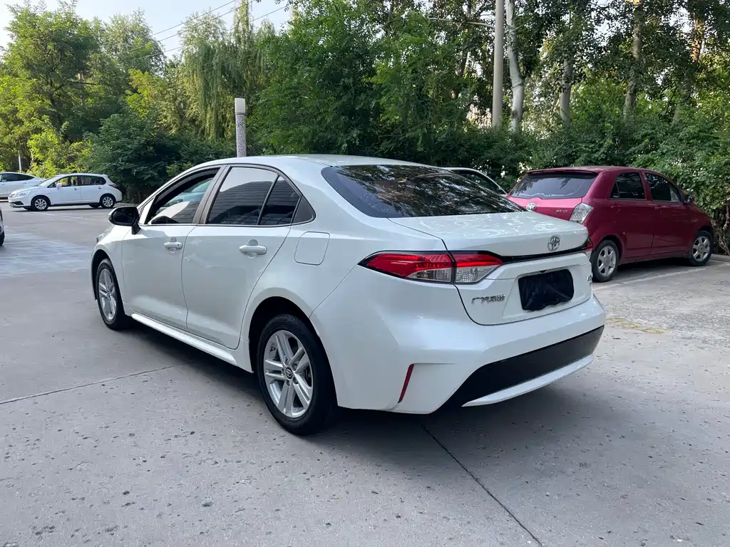 Ralink 2019 185T CVT Deluxe Edition National V купить на сайте DeffCars