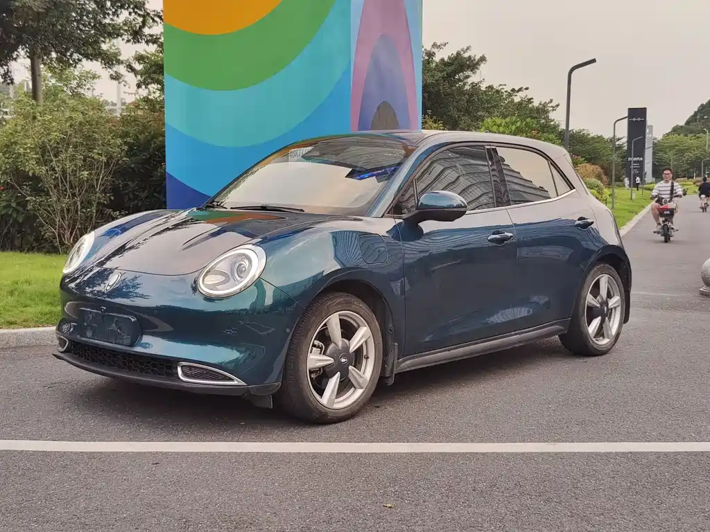 Euler Good Cat 2021 Model 400km Standard Range Athena Edition Lithium Iron Phosphate купить на сайте DeffCars