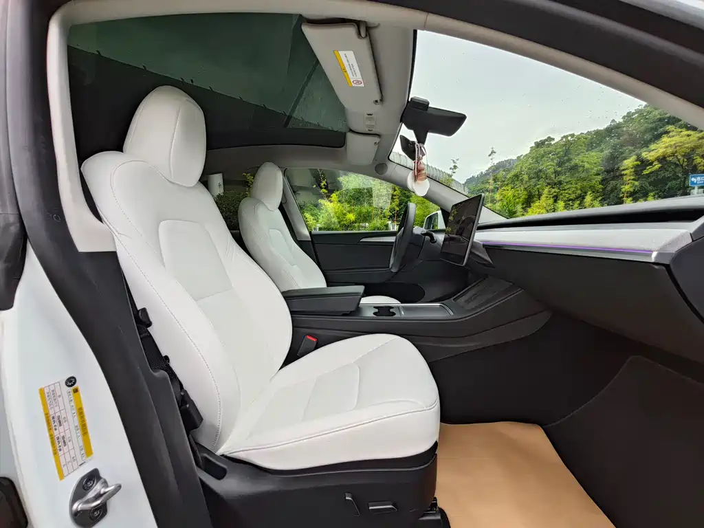 Model Y 2023 rear-wheel drive купить на сайте DeffCars