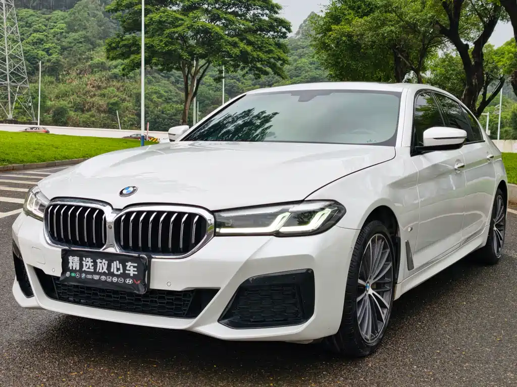 BMW 5 Series 2018 facelift 530Li leading M sports package купить на сайте DeffCars