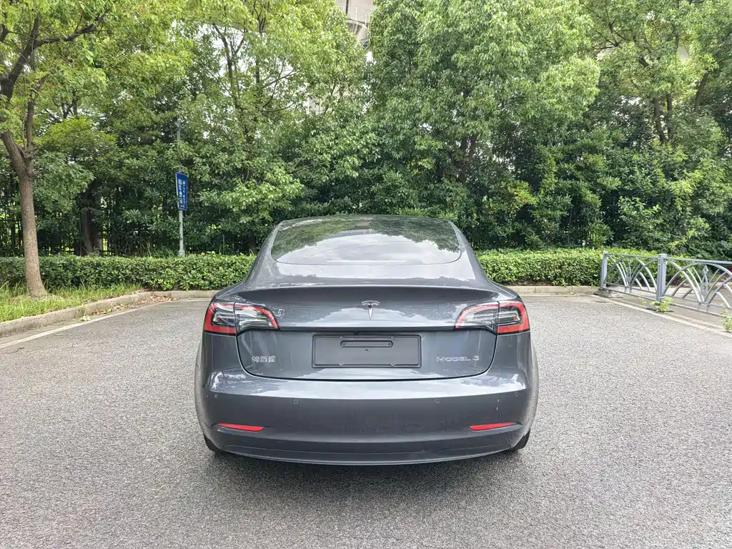 Model 3 2021 facelift standard range rear drive upgraded version 3D1 купить на сайте DeffCars
