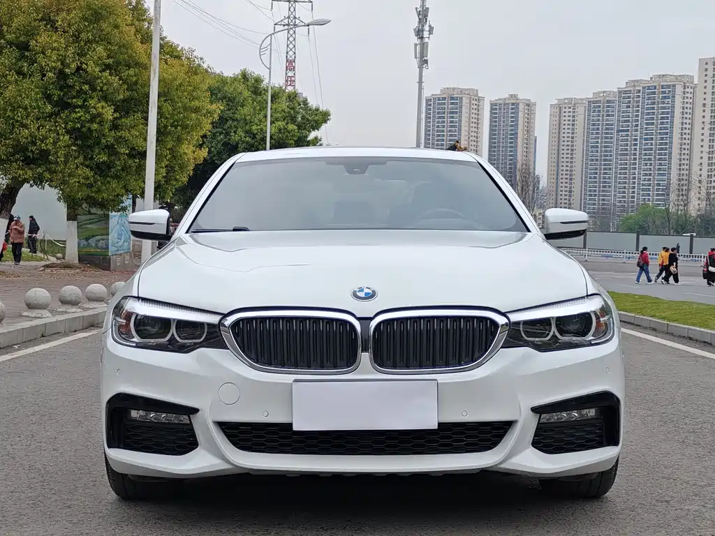 BMW 5 Series 2018 530Li Leading M Sports Package купить на сайте DeffCars