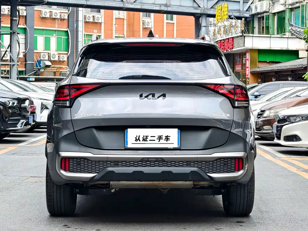 Lion Platinum Extends the World 2023 2.0T Two-wheel Drive Premium Edition купить на сайте DeffCars